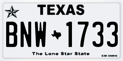 TX license plate BNW1733