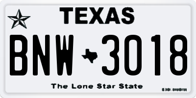 TX license plate BNW3018