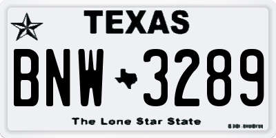TX license plate BNW3289