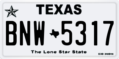 TX license plate BNW5317