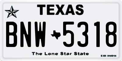 TX license plate BNW5318