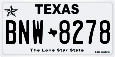 TX license plate BNW8278