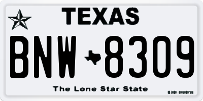 TX license plate BNW8309