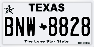 TX license plate BNW8828
