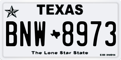 TX license plate BNW8973