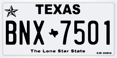 TX license plate BNX7501