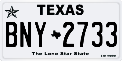 TX license plate BNY2733