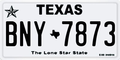 TX license plate BNY7873
