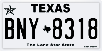 TX license plate BNY8318