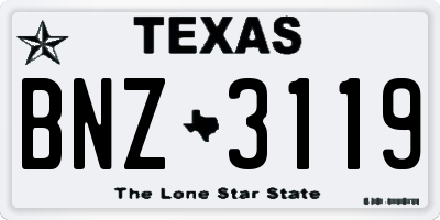 TX license plate BNZ3119