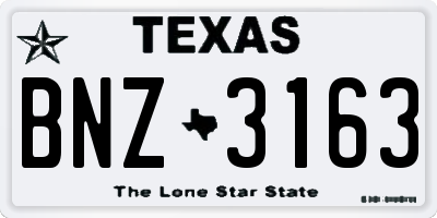 TX license plate BNZ3163