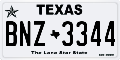 TX license plate BNZ3344