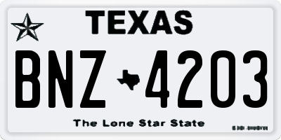 TX license plate BNZ4203