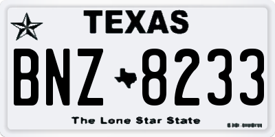 TX license plate BNZ8233