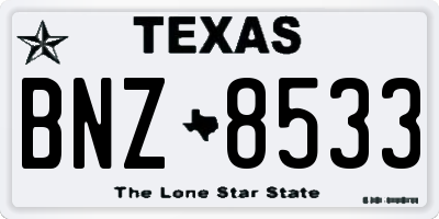 TX license plate BNZ8533