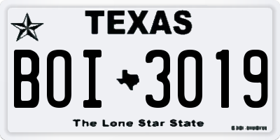 TX license plate BOI3019