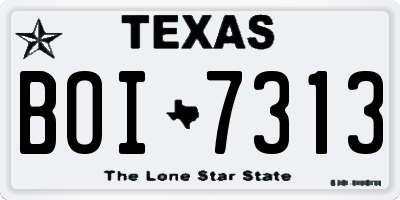 TX license plate BOI7313