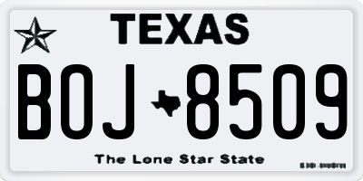 TX license plate BOJ8509