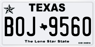 TX license plate BOJ9560
