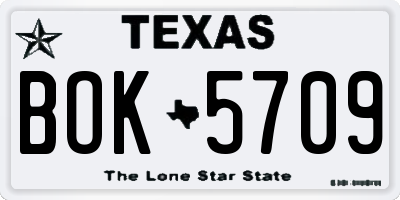 TX license plate BOK5709