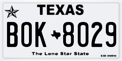 TX license plate BOK8029