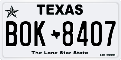 TX license plate BOK8407