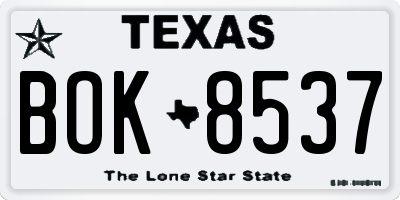 TX license plate BOK8537