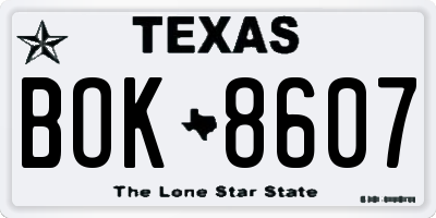 TX license plate BOK8607