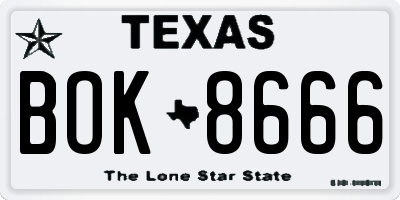TX license plate BOK8666