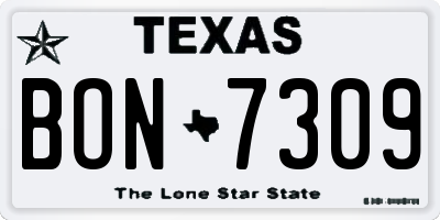 TX license plate BON7309