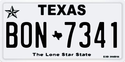 TX license plate BON7341