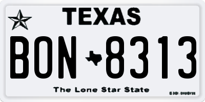 TX license plate BON8313
