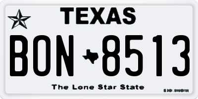 TX license plate BON8513