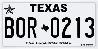 TX license plate BOR0213