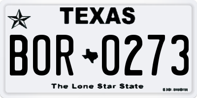 TX license plate BOR0273
