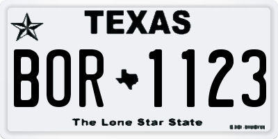 TX license plate BOR1123