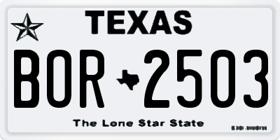 TX license plate BOR2503