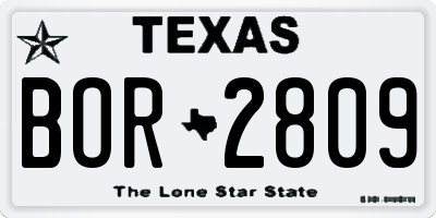 TX license plate BOR2809
