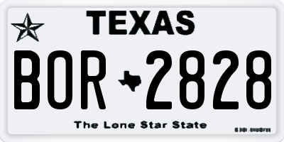 TX license plate BOR2828
