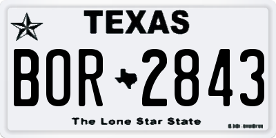TX license plate BOR2843