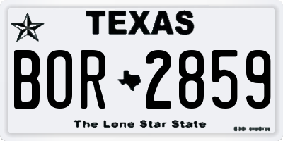TX license plate BOR2859