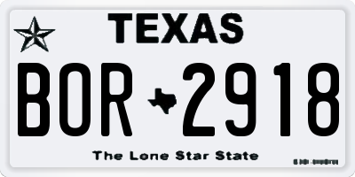 TX license plate BOR2918
