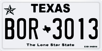 TX license plate BOR3013