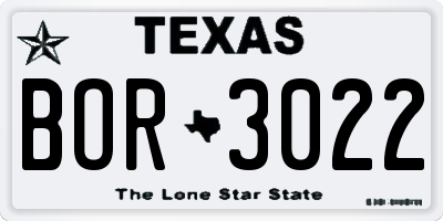 TX license plate BOR3022