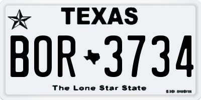 TX license plate BOR3734