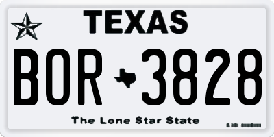 TX license plate BOR3828