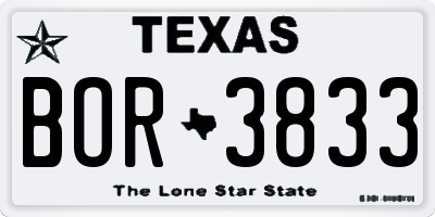 TX license plate BOR3833