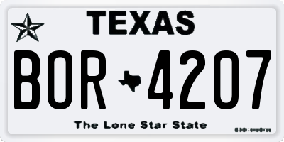 TX license plate BOR4207