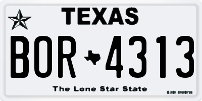 TX license plate BOR4313