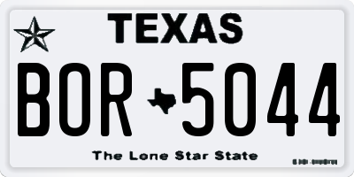 TX license plate BOR5044